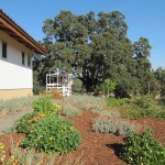 Photo 22 for Winters, Ca Ranchette with Olive Orchard on 20 acres