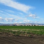 Photo 6 for Esparto Row Crop Ranch