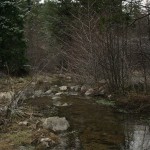 Photo 4 for Moffett Creek