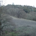 Photo 12 for Berryessa Lake Ridge 1