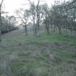 Photo 9 for Berryessa Lake Ridge 1