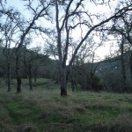 Photo 10 for Berryessa Lake Ridge 1