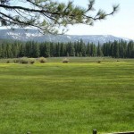 Photo 17 for Sierra Valley Meadow Ranch
