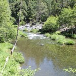 Photo 12 for Hayfork Creek and Fishing