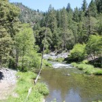 Photo 13 for Hayfork Creek and Fishing