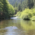 Photo 1 for Hayfork Creek and Fishing