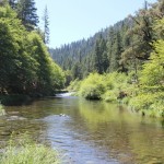 Photo 15 for Hayfork Creek and Fishing