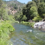 Photo 16 for Hayfork Creek and Fishing