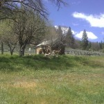 Photo 13 for Little Sierra Valley Ranch West