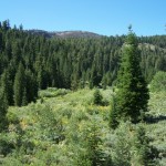 Photo 12 for North Star Basin