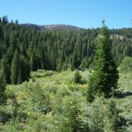 Photo 12 for North Star Basin