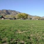 Photo 6 for Honey Lake Ranch