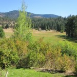 Photo 2 for Estate on Rush Creek