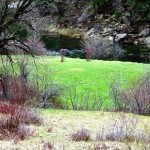 Photo 30 for Paddlepaw Ranch on Spanish Creek