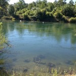 Photo 8 for Sacramento River Parcel