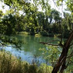 Photo 10 for Sacramento River Parcel