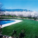 Photo 25 for Winters IMMACULATE Country Estate with Almond Orchard