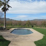 Photo 24 for Winters IMMACULATE Country Estate with Almond Orchard
