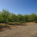 Photo 60 for Winters IMMACULATE Country Estate with Almond Orchard