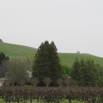 Photo 59 for California Vineyard Estate