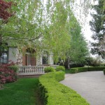 Photo 64 for California Vineyard Estate