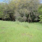 Photo 7 for Vacant Lot 292 in Circle Oaks