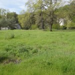 Photo 2 for Vacant Lot 292 in Circle Oaks