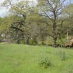 Photo 4 for Vacant Lot 292 in Circle Oaks