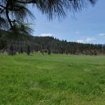 Photo 8 for Sharps Gulch Ranch