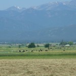 Photo 2 for Sharps Gulch Ranch