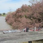 Photo 32 for California Duck Club & Recreational Retreat