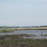 Photo 12 for California Duck Club & Recreational Retreat