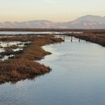 Photo 44 for California Duck Club & Recreational Retreat