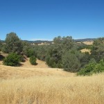 Photo 1 for 21+/- Acres of Country Property with Views