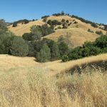 Photo 2 for 21+/- Acres of Country Property with Views