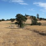 Photo 20 for Wild Oates Ranch