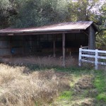 Photo 13 for McGowan Horse Ranch - Placerville