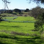 Photo 16 for McGowan Horse Ranch - Placerville