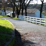 Photo 17 for McGowan Horse Ranch - Placerville