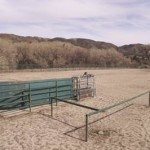 Photo 14 for Leona Valley Equestrian Center