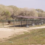 Photo 6 for Leona Valley Equestrian Center