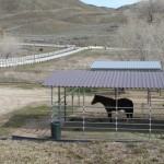 Photo 9 for Leona Valley Equestrian Center