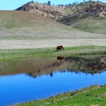 Photo 7 for Elk Creek Cattle Ranch