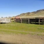 Photo 9 for Elk Creek Cattle Ranch