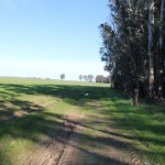 Photo 9 for 79 Acre Farm Ground