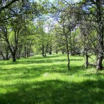 Photo 10 for El Tee Ranch - 260 Acres