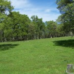 Photo 20 for El Tee Ranch - 260 Acres