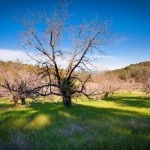 Photo 22 for El Tee Ranch - 260 Acres