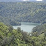 Photo 8 for Napa Valley Wilderness Hideaway