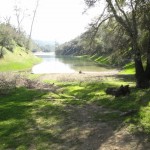 Photo 11 for Napa Valley Wilderness Hideaway